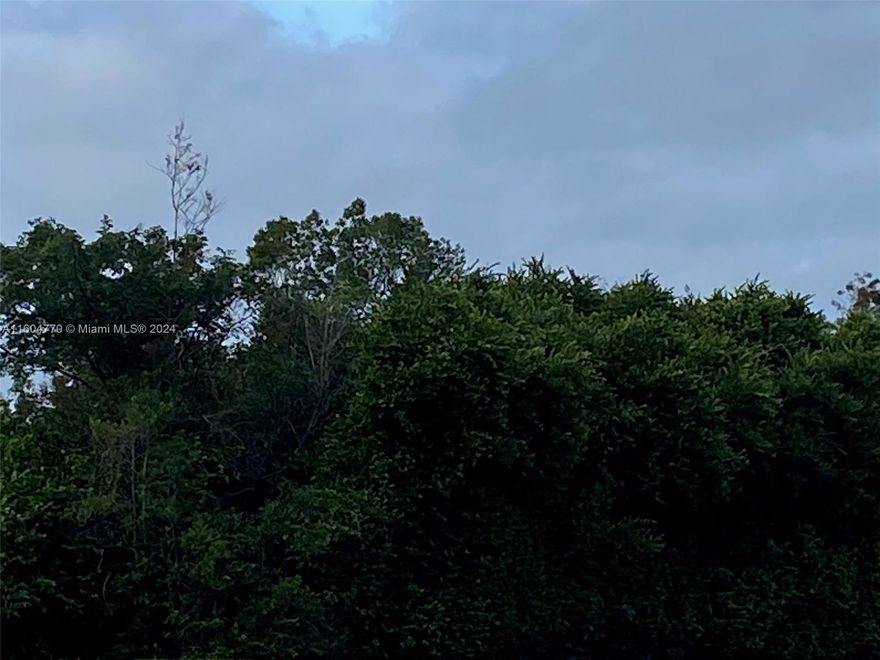 Perfect opportunity to own prime piece of vacant land. This spacious lots offers endless possibilities for development. Located in a desirable area. Don't miss out on this rare chance to create your dream house.