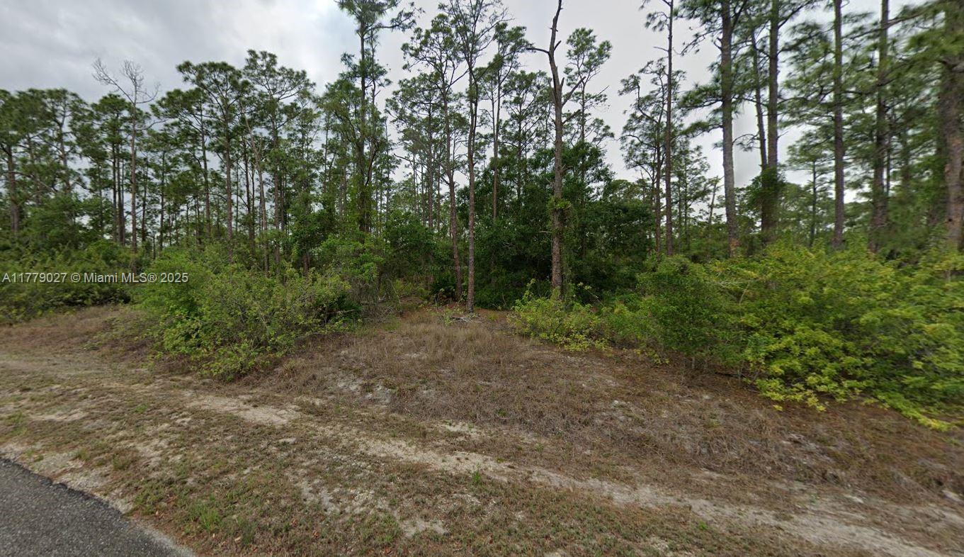 HALF-ACRE Great lot in nice neighborhood with new construction homes all around. Close to shopping and all the amenities that Lehigh has to offer, this lot presents a prime opportunity for investment or to build your new home.
