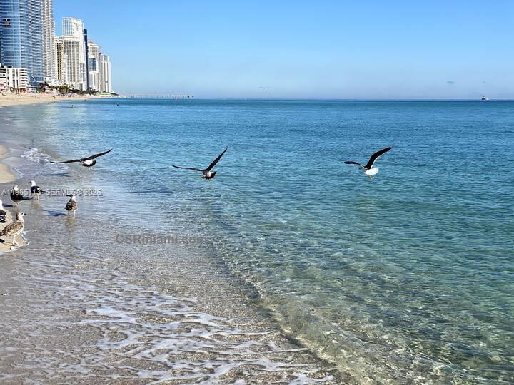 AURORA - Residential Lease