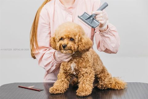 Pet Grooming Pompano Beach FL 33060