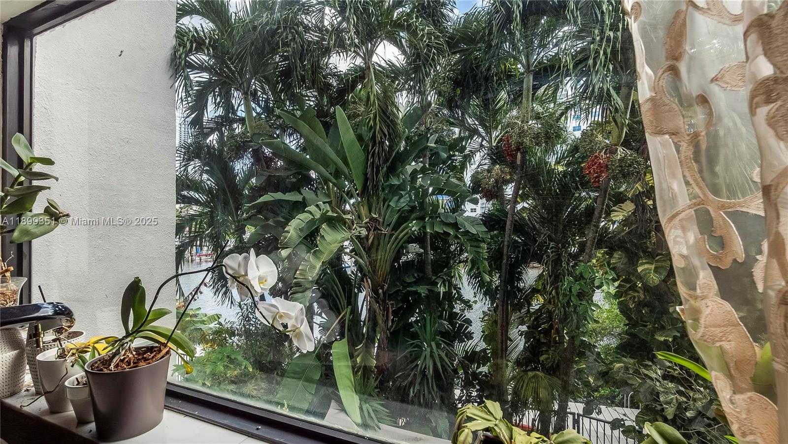 POINCIANA IS YT & RCQ CLU - Residential