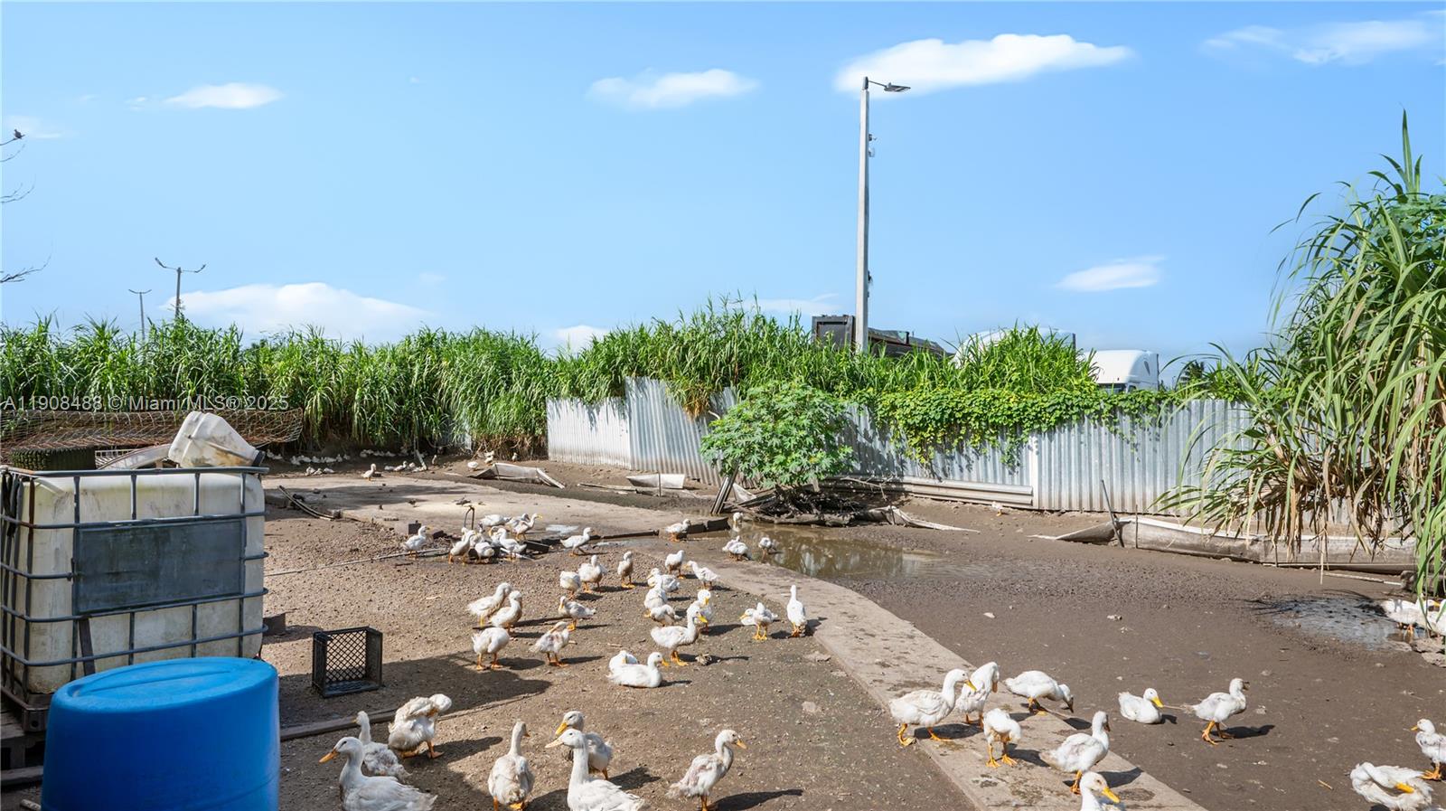 FLA FRUIT LAND CO SUB - Commercial Sale