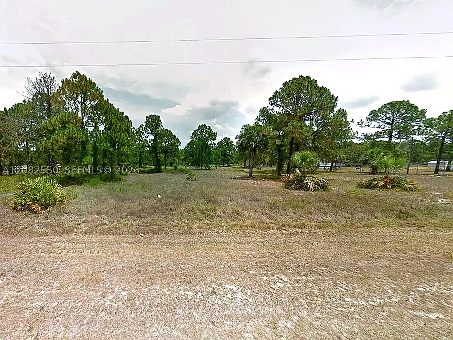 675 Appaloosa Av