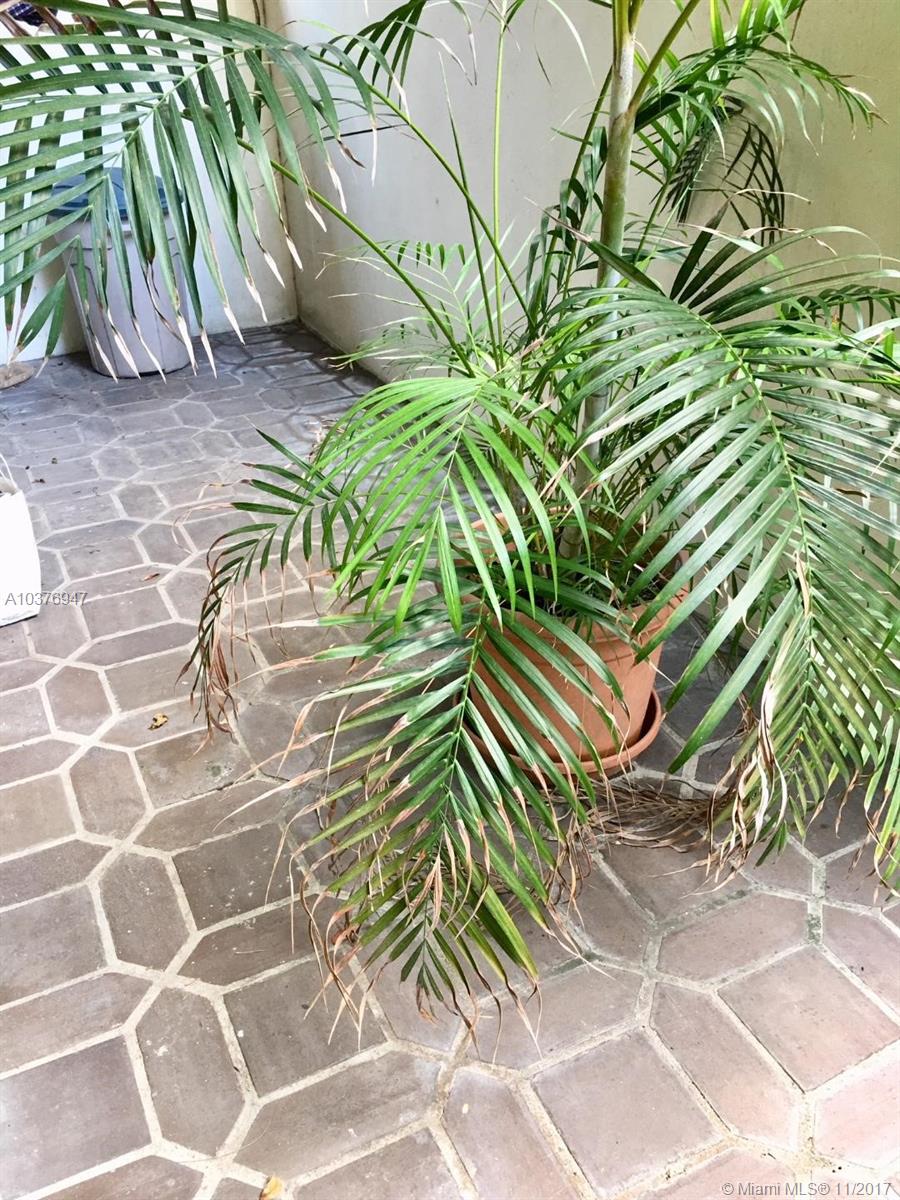 COCONUT GROVE APT CONDO - Residential Lease