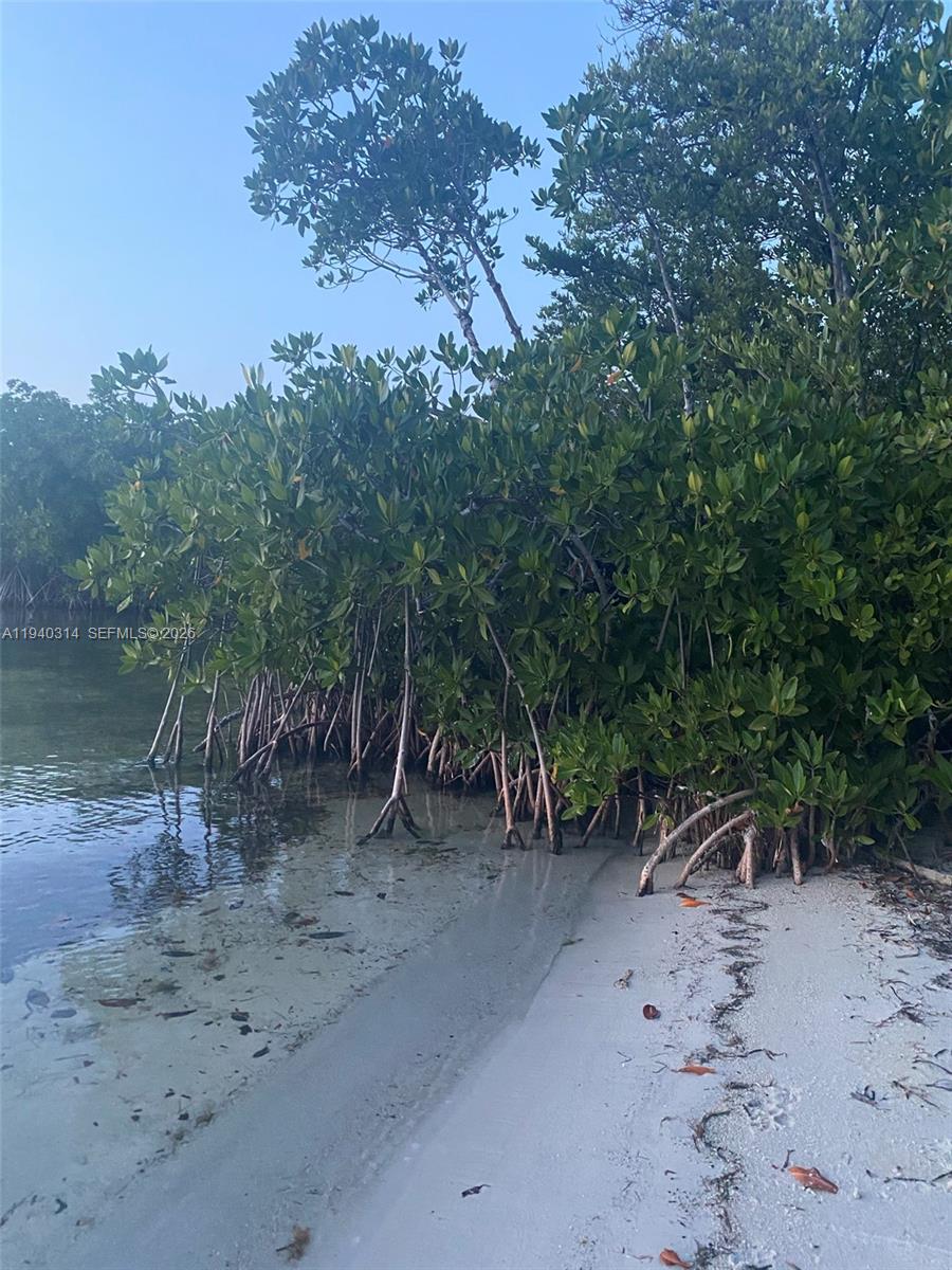 Bay Haven - Residential