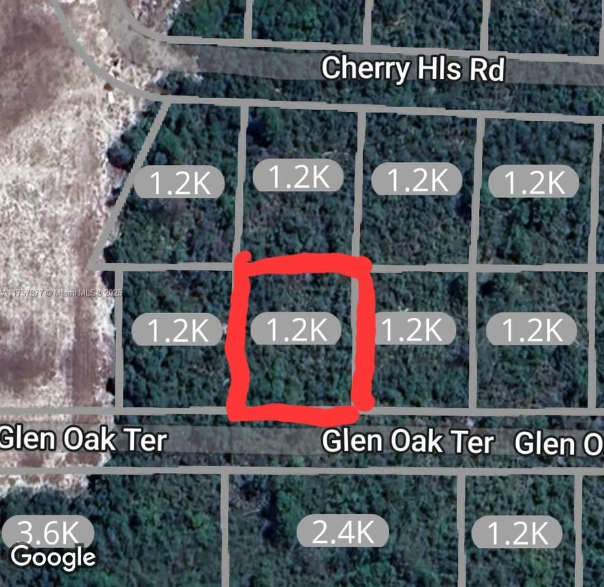 4 Vacant Lots for Sale! This spacious vacant lot is located in the Orange Blossom neighborhood of Sebring, FL. Zoned R1A. Close to Lake Josephine and downtown Sebring. 4 lot bundle, for sale all together! 2948 Glen Oa Ter. , 2924 Glen Oak Ter. and 2925 Cherry Hills Rd. A11757884, A11757881, A11757874.