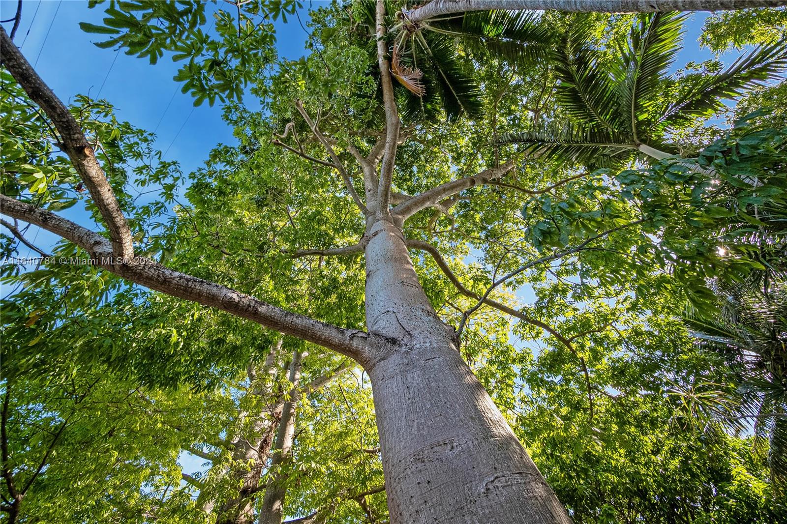 BAYSHORE A - Residential