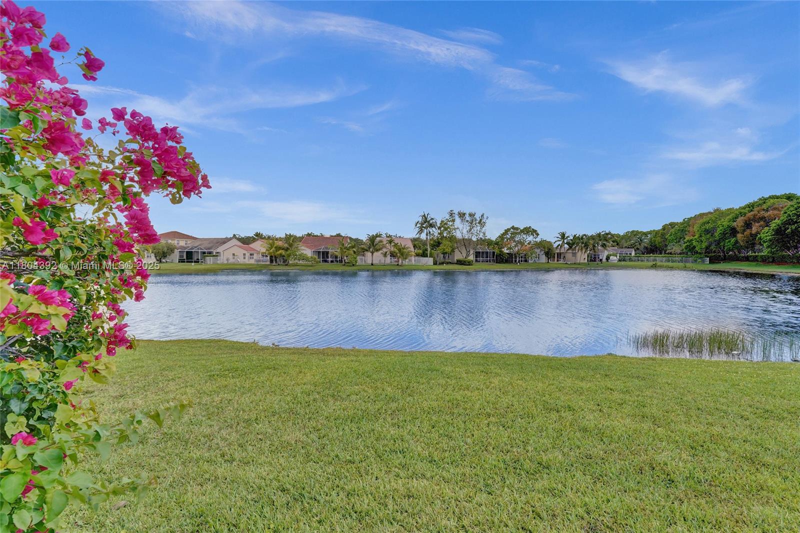 1104 Cedar Falls Dr