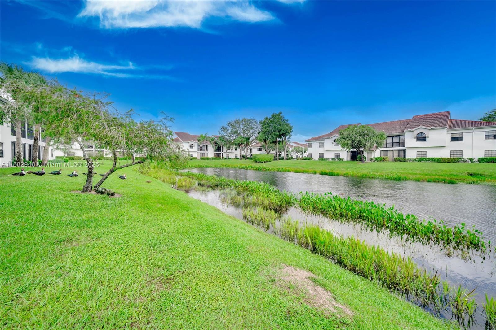 ALEXANDRA VILLAGE CONDO - Residential