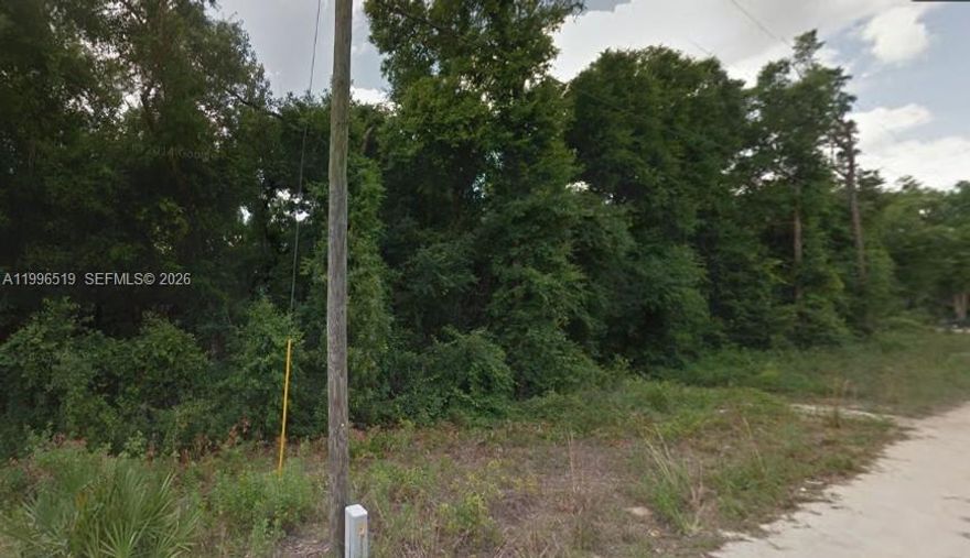 Vacant land in Silver Springs—great investment opportunity. No improvements, strong upside potential in a growing area.
