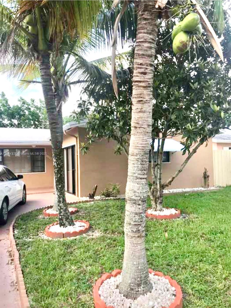 Beautiful Home in Prime Hollywood Location!
Is an amazing opportunity to own a charming home ideally situated near Sheridan , University Street and Freedom Street in Hollywood, FL. This well-maintained property offers unbeatable convenience, just minutes from major thoroughfares, top-rated schools, hospitals, local parks, and universities, making it perfect for families, students, or investors looking to create different projects .
Enjoy the ease of access to Main Street shopping, dining, and entertainment, while still living in a quiet, residential neighborhood. The home is also just a short drive from Hollywood Beach, and close to I-95 for easy commuting.
Whether you're a first-time buyer or looking for a solid investment, this property has it all!