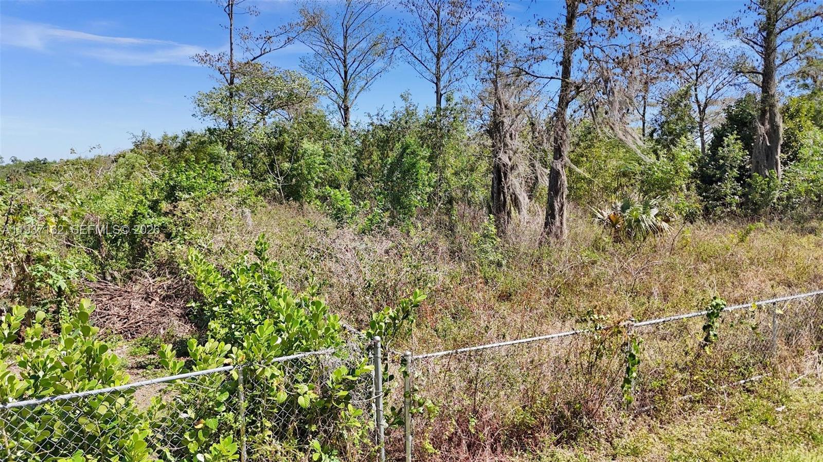 FLA FRUIT LANDS CO - Land