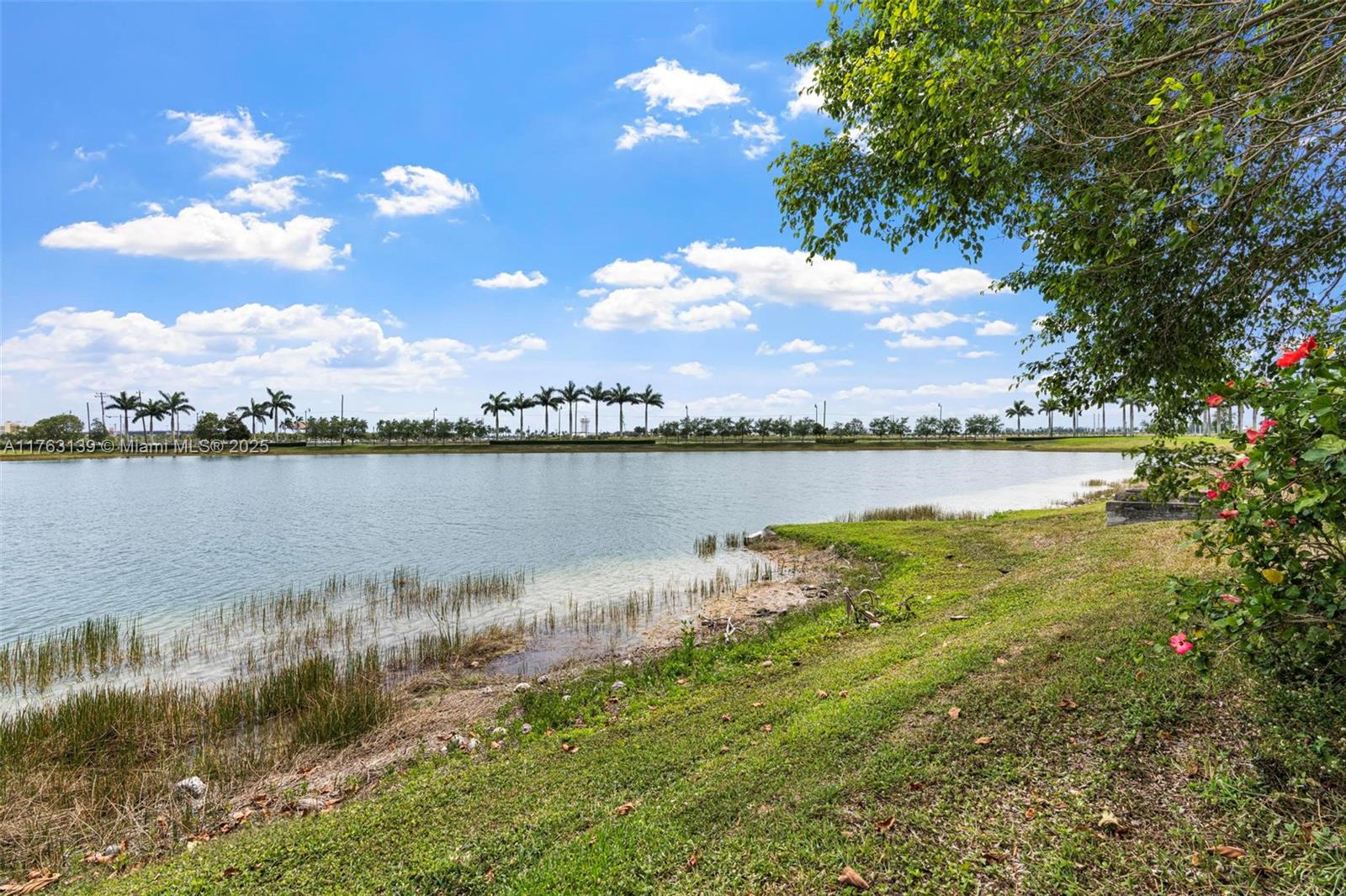 BAYWINDS OF ABACO - Residential