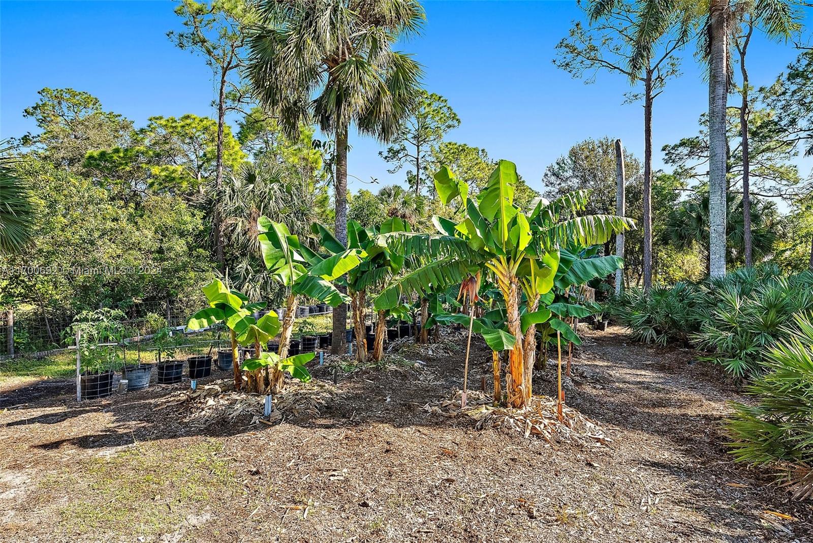 Jupiter Farms - Residential
