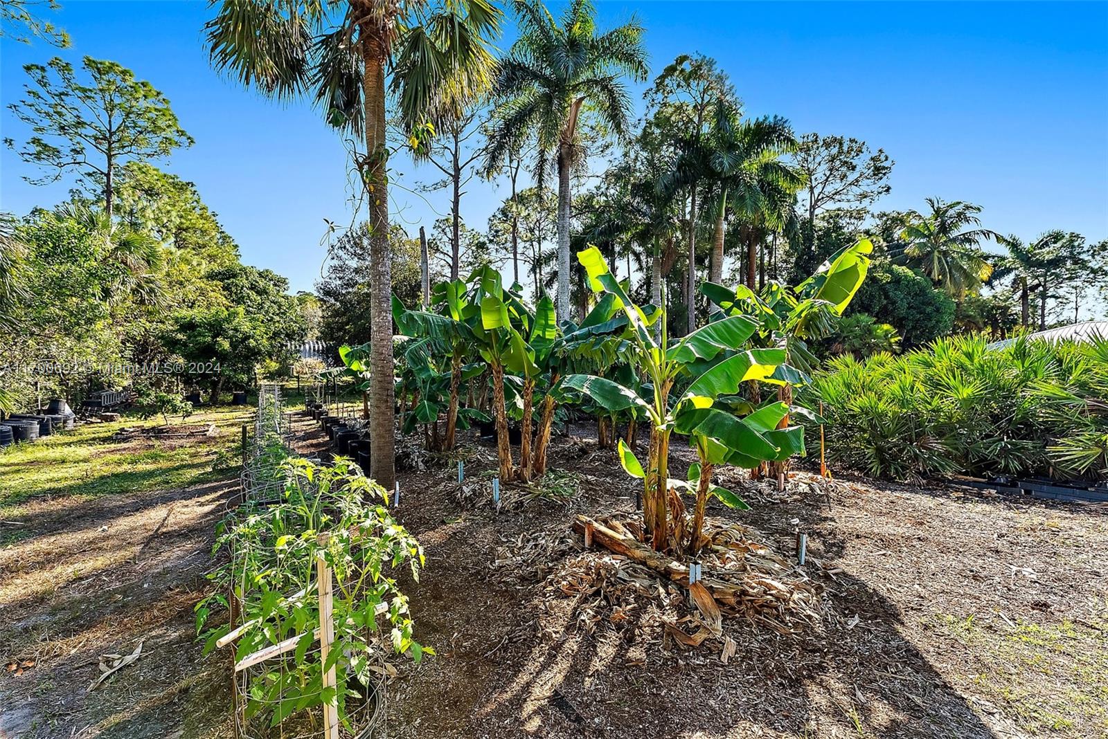 Jupiter Farms - Residential