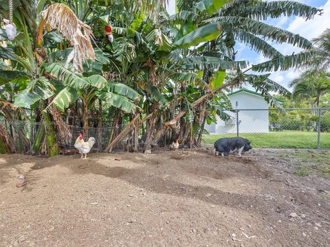 A home in Miami