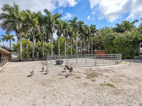 A home in Miami