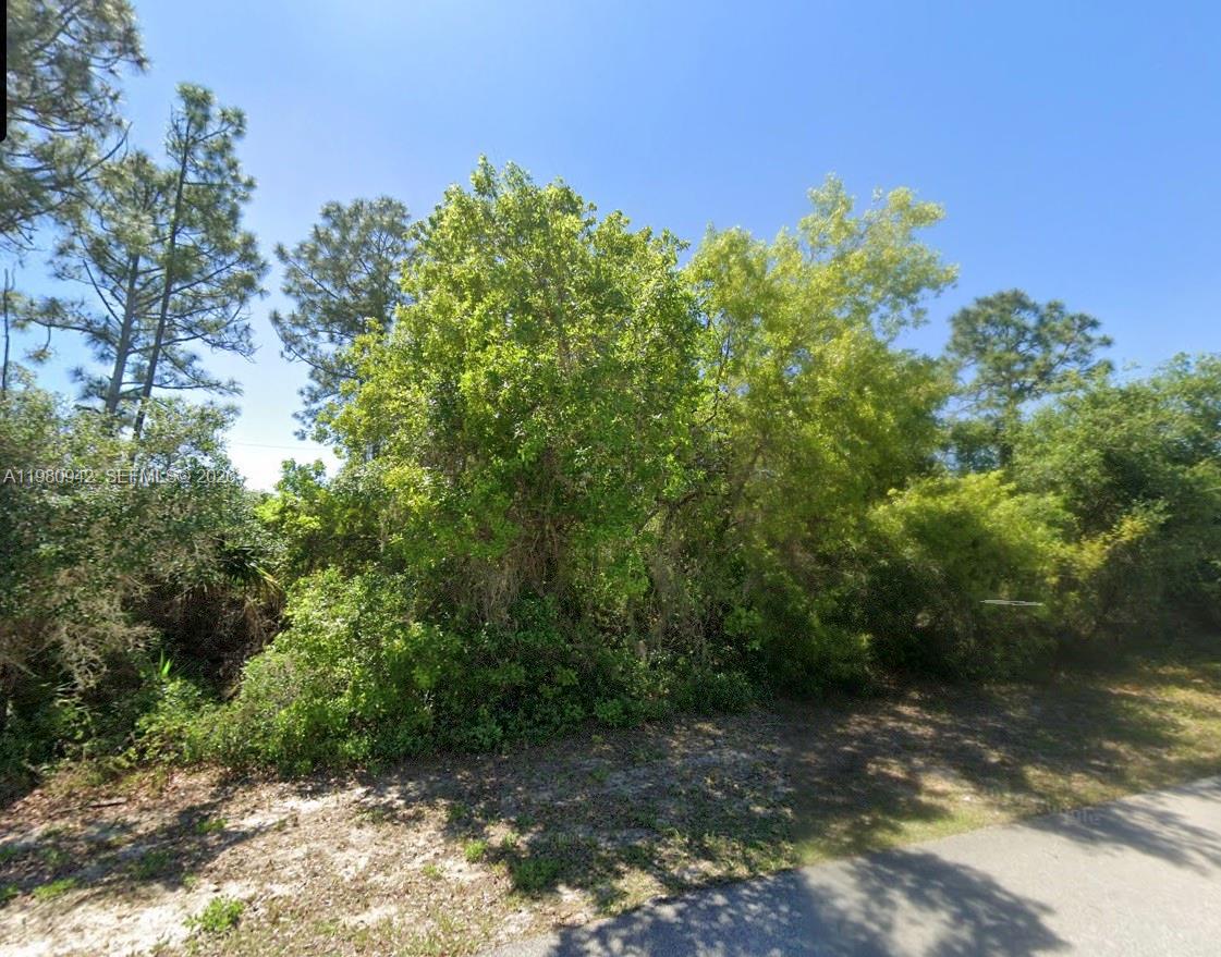 SUN N LK LP UNIT 01 - Land