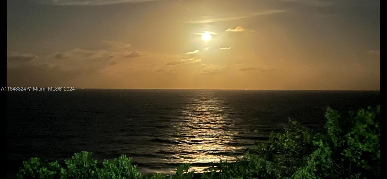 Praia do Amor - Land