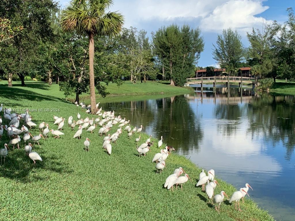 WOODS AT BOCA DEL MAR CON - Residential Lease