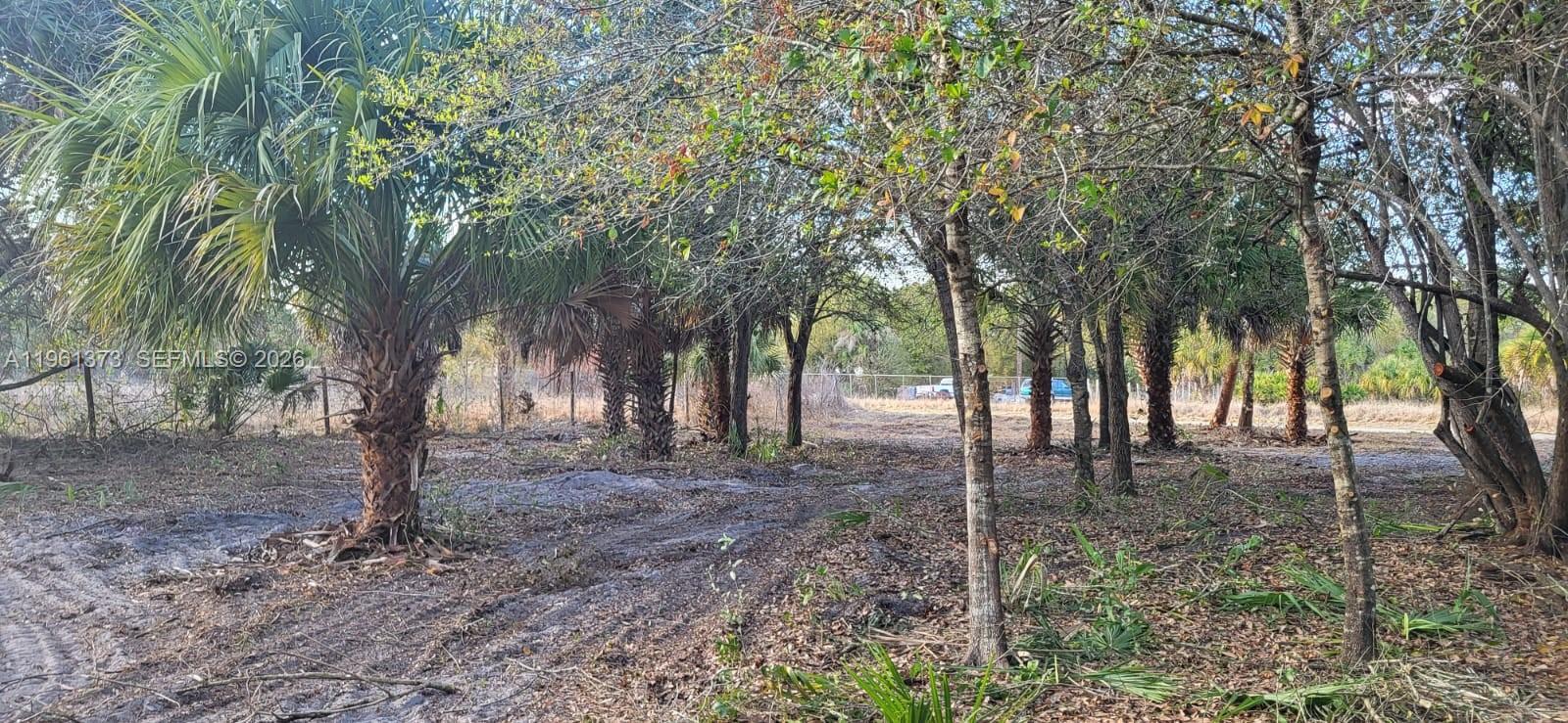 Montura Ranch - Land