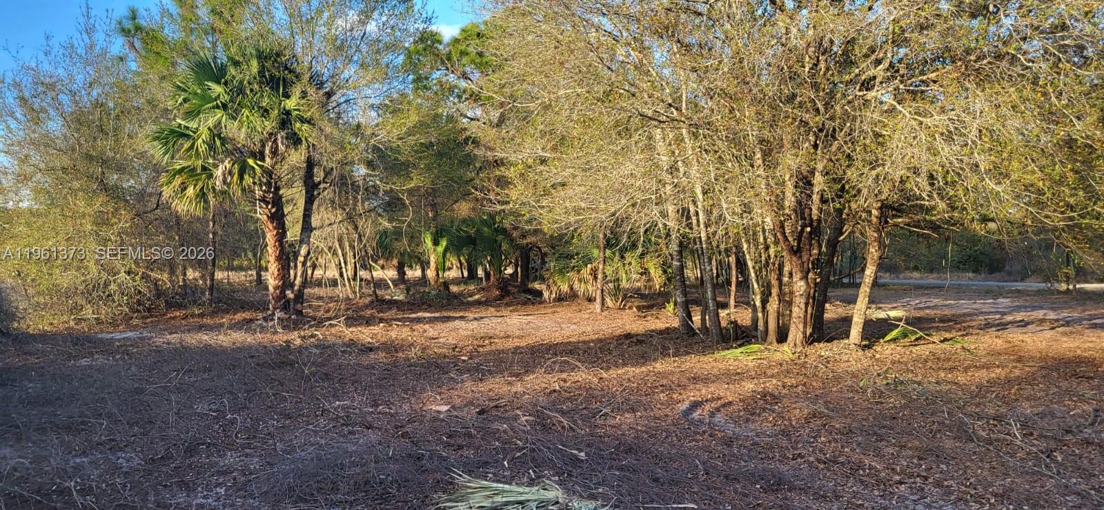 Montura Ranch - Land