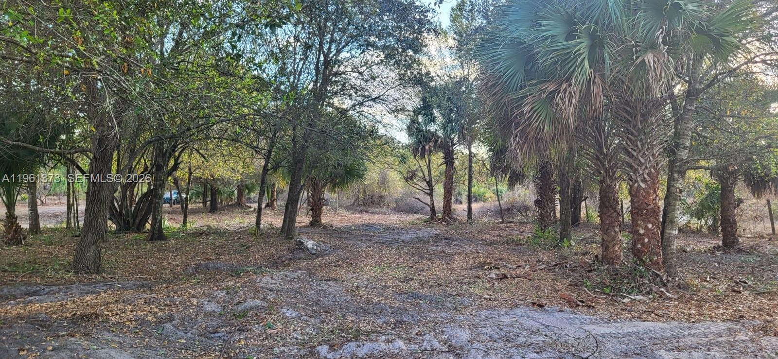 Montura Ranch - Land