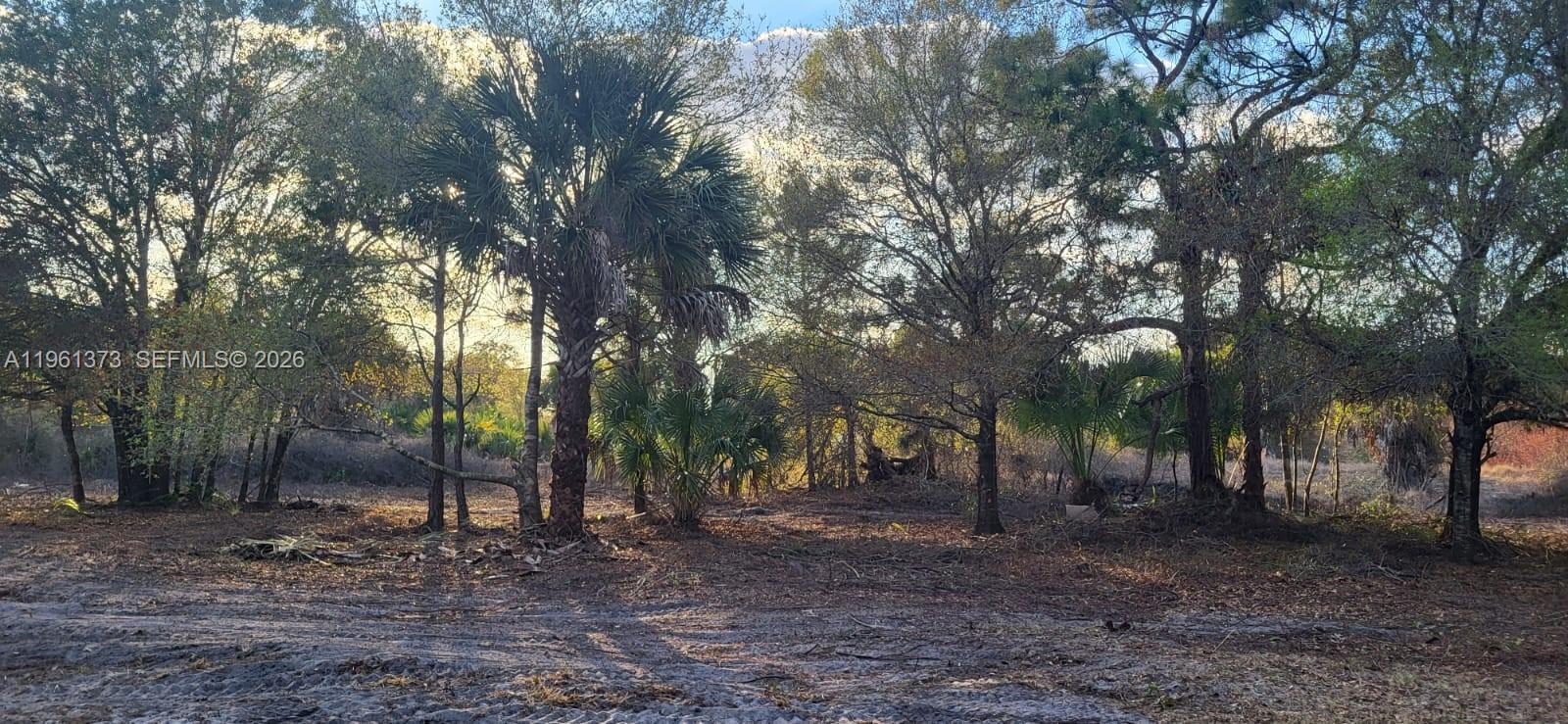 Montura Ranch - Land