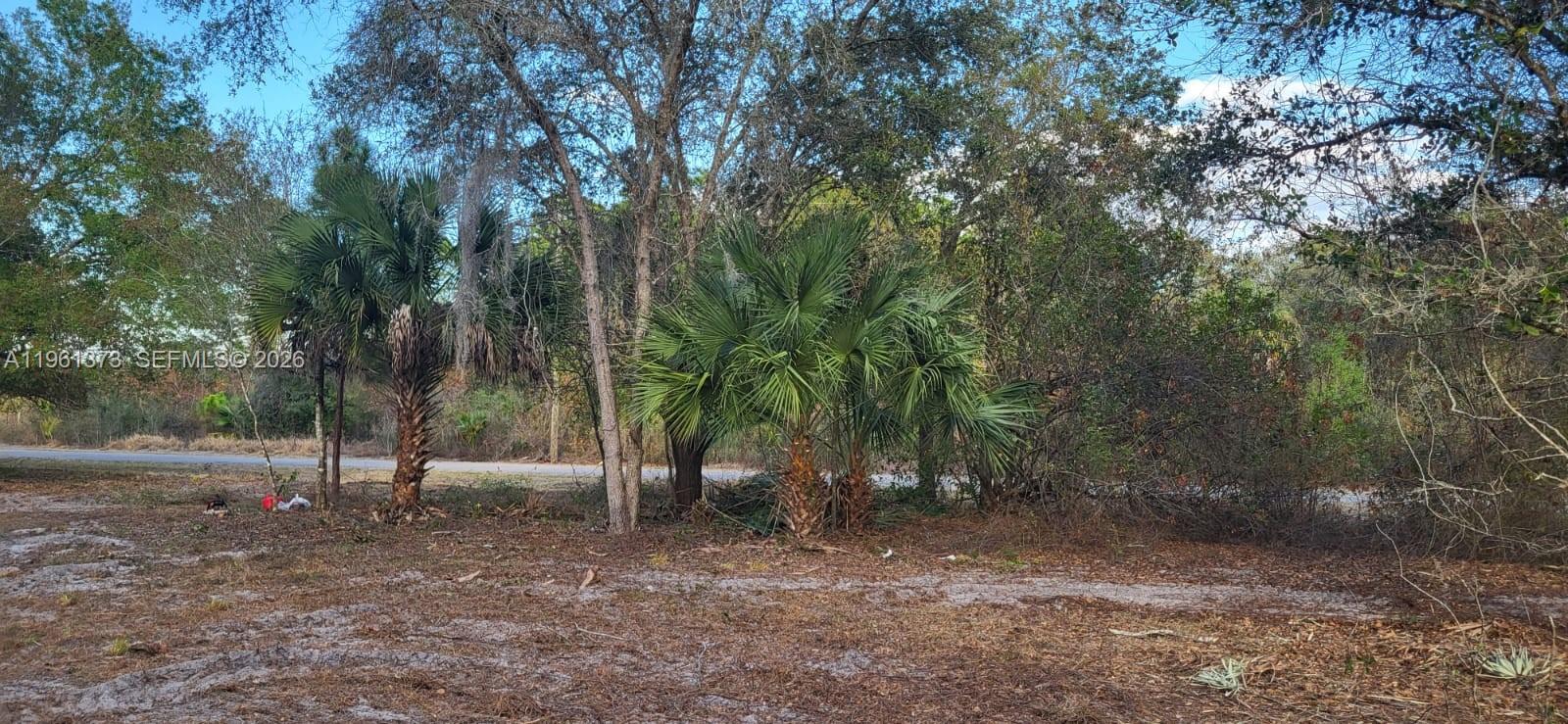 Montura Ranch - Land