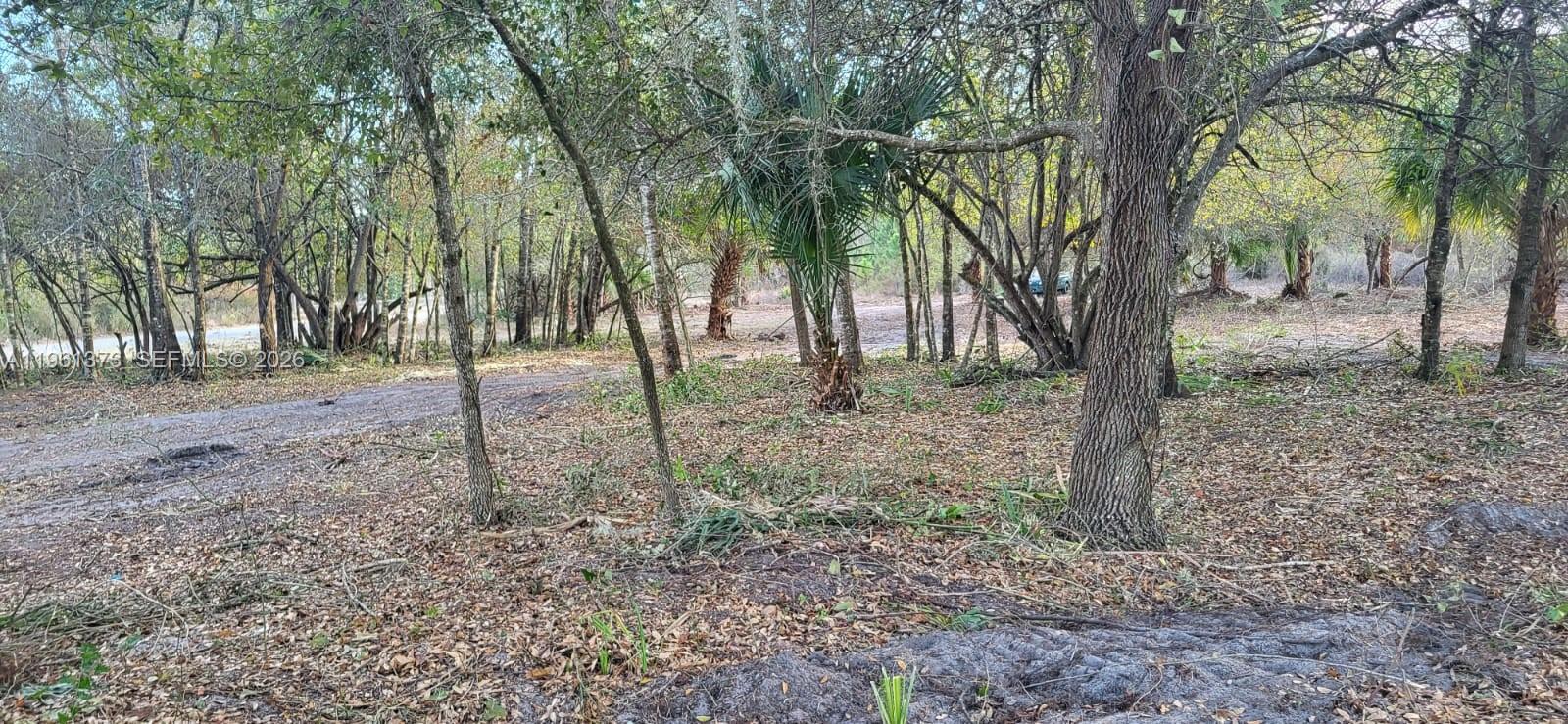 Montura Ranch - Land