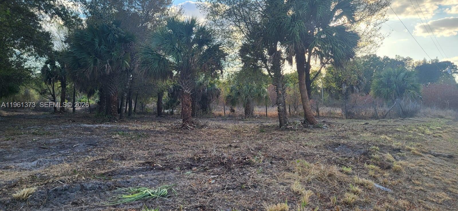 Montura Ranch - Land