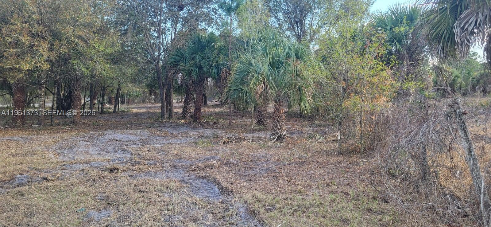 Montura Ranch - Land