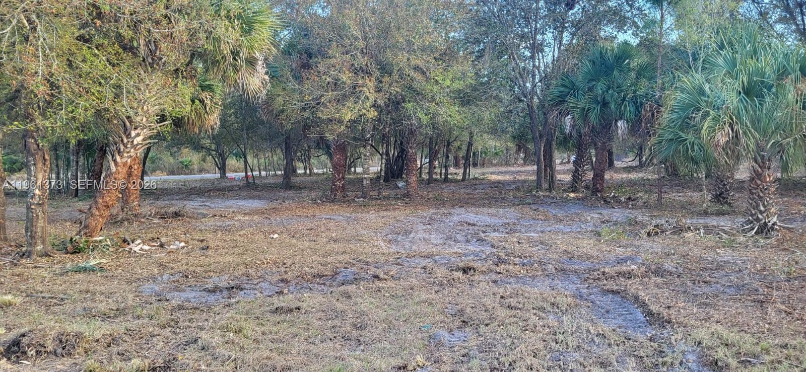 Montura Ranch - Land