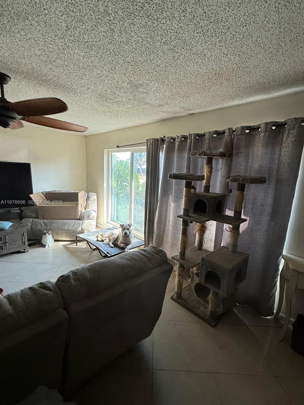 Photo of 8105 NW 74th Ter, Tamarac, FL 33321 (MLS # A11976696)