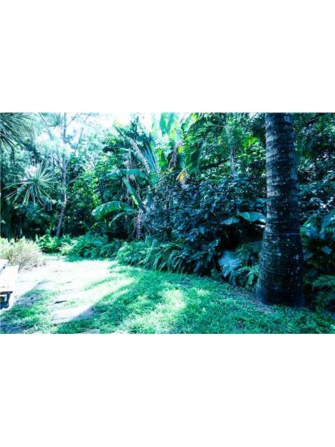 GRIFFING BISCAYNE PARK ES - Residential