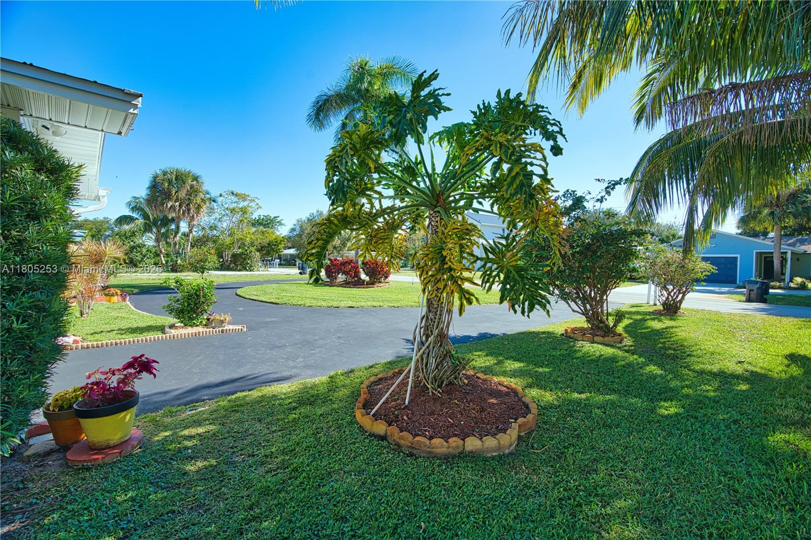 PALMETTO HARBOR - Residential
