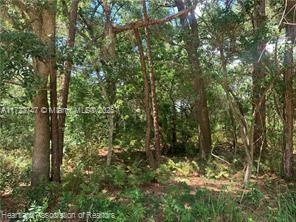 AVON PARK LAKES - Land