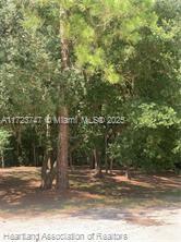 AVON PARK LAKES - Land