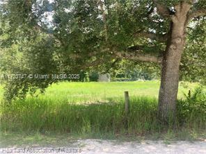 AVON PARK LAKES - Land