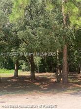 AVON PARK LAKES - Land