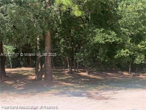 AVON PARK LAKES - Land