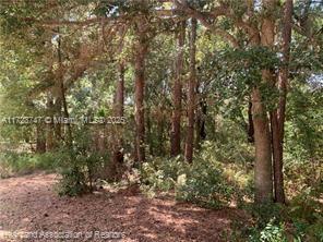 AVON PARK LAKES - Land