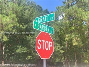 AVON PARK LAKES - Land