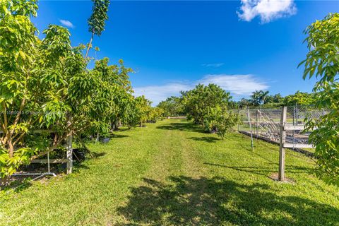 A home in Miami