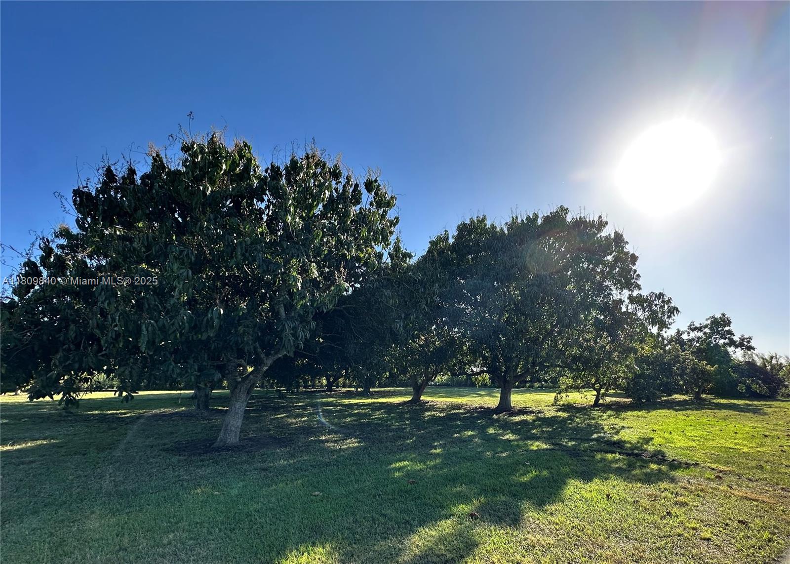 West Kendall Red Lands - Residential