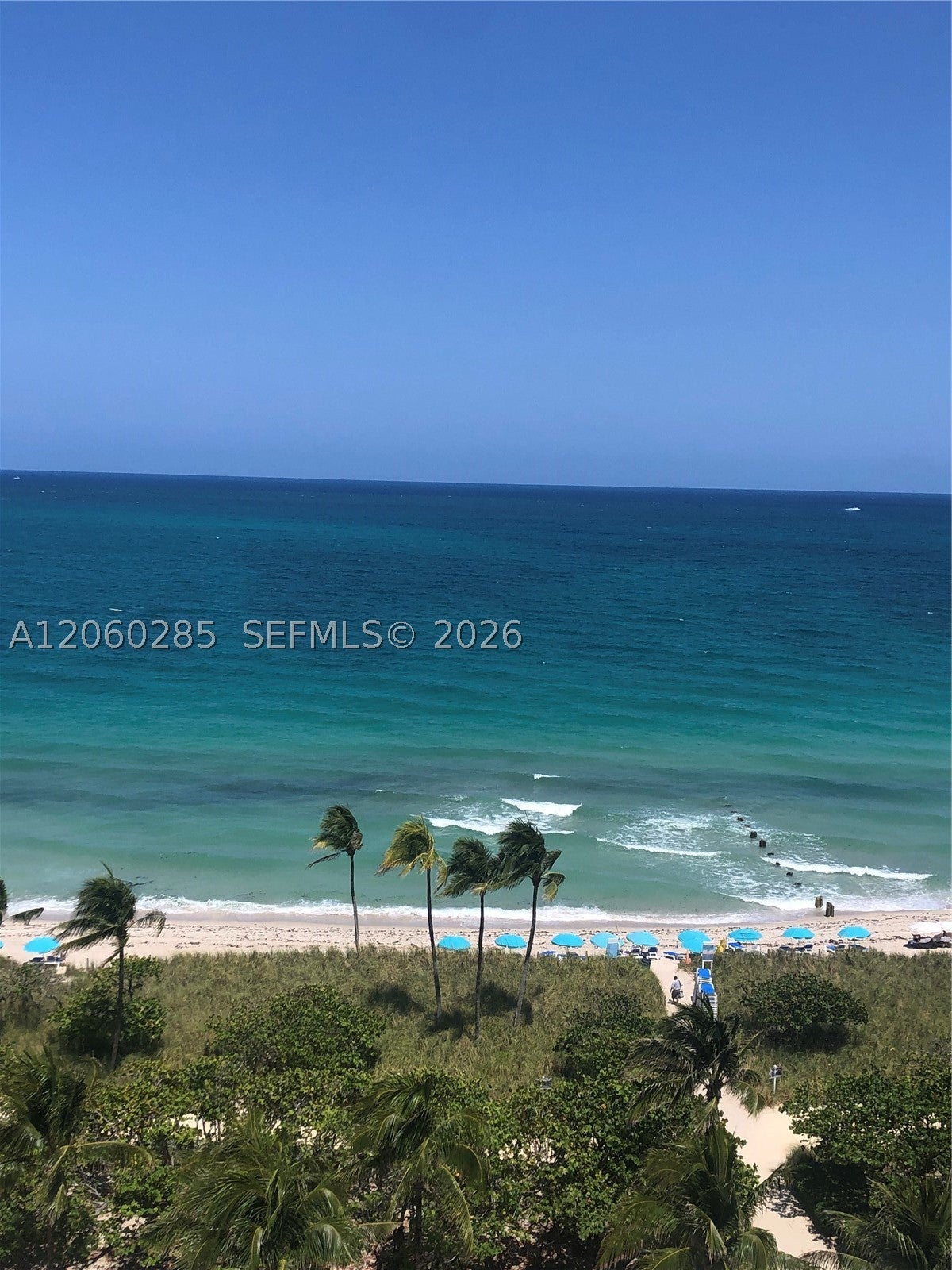 10185 Collins Ave 616