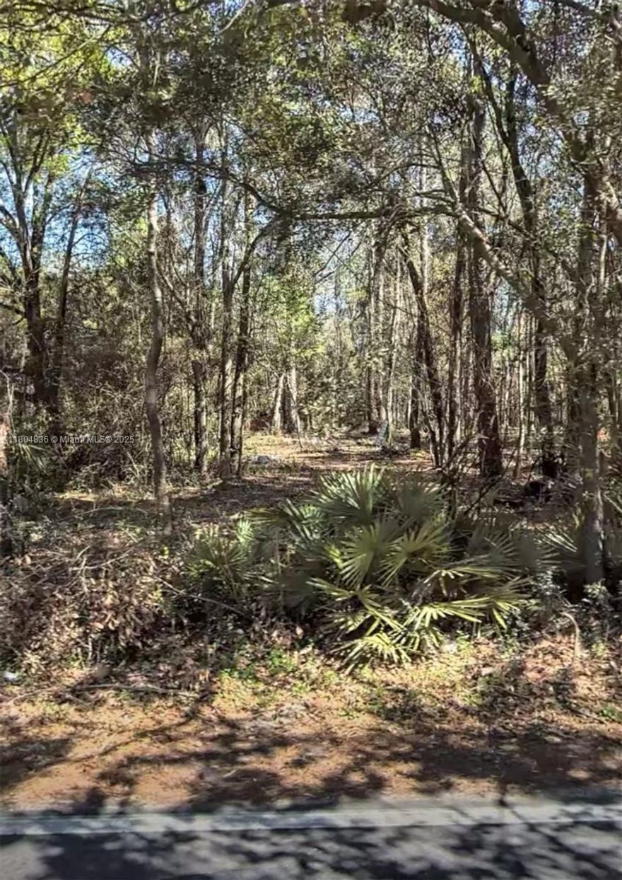 INVESTORS!!!! PUD approved. Excellent opportunity to build 12 to 15 townhomes.  City water and sewer available. PUD and site plan can be found under the documents tab.