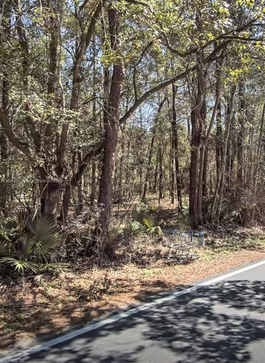 Atlantic Blvd Estate - Land