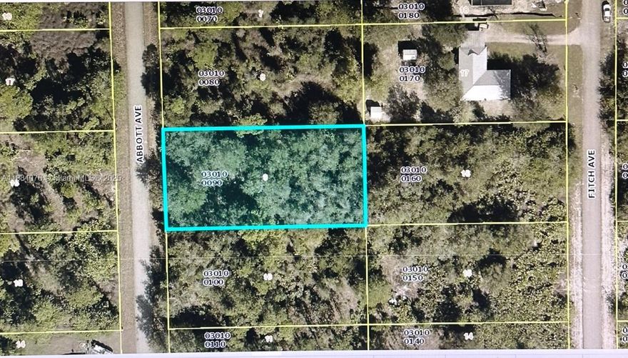 Great opportunity to own an oversized lot in a residential area of Lehigh Acres. Build your dream home, paved road. Close to shopping centers, hospitals, restaurants, schools. Minutes from the beach of Fort Myers and close to Naples.
