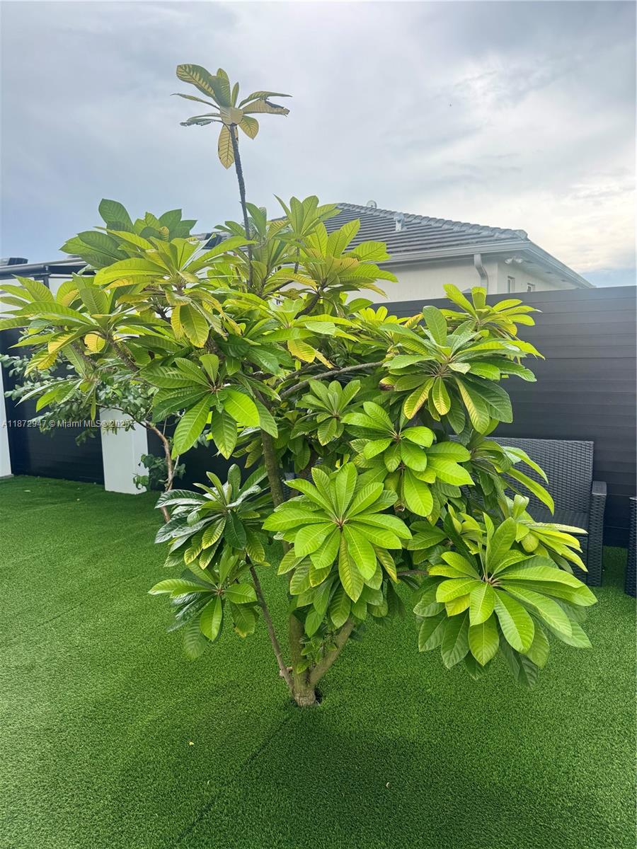 CAPLE FARMS SOUTH - Residential